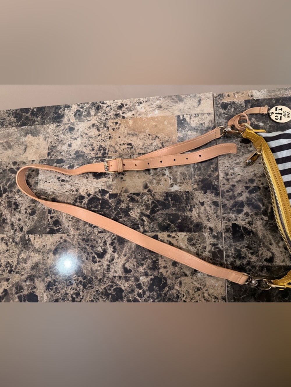 Henri Bendel Rare Centennial Stripe Canvas Crossbody - Picture 16 of 16